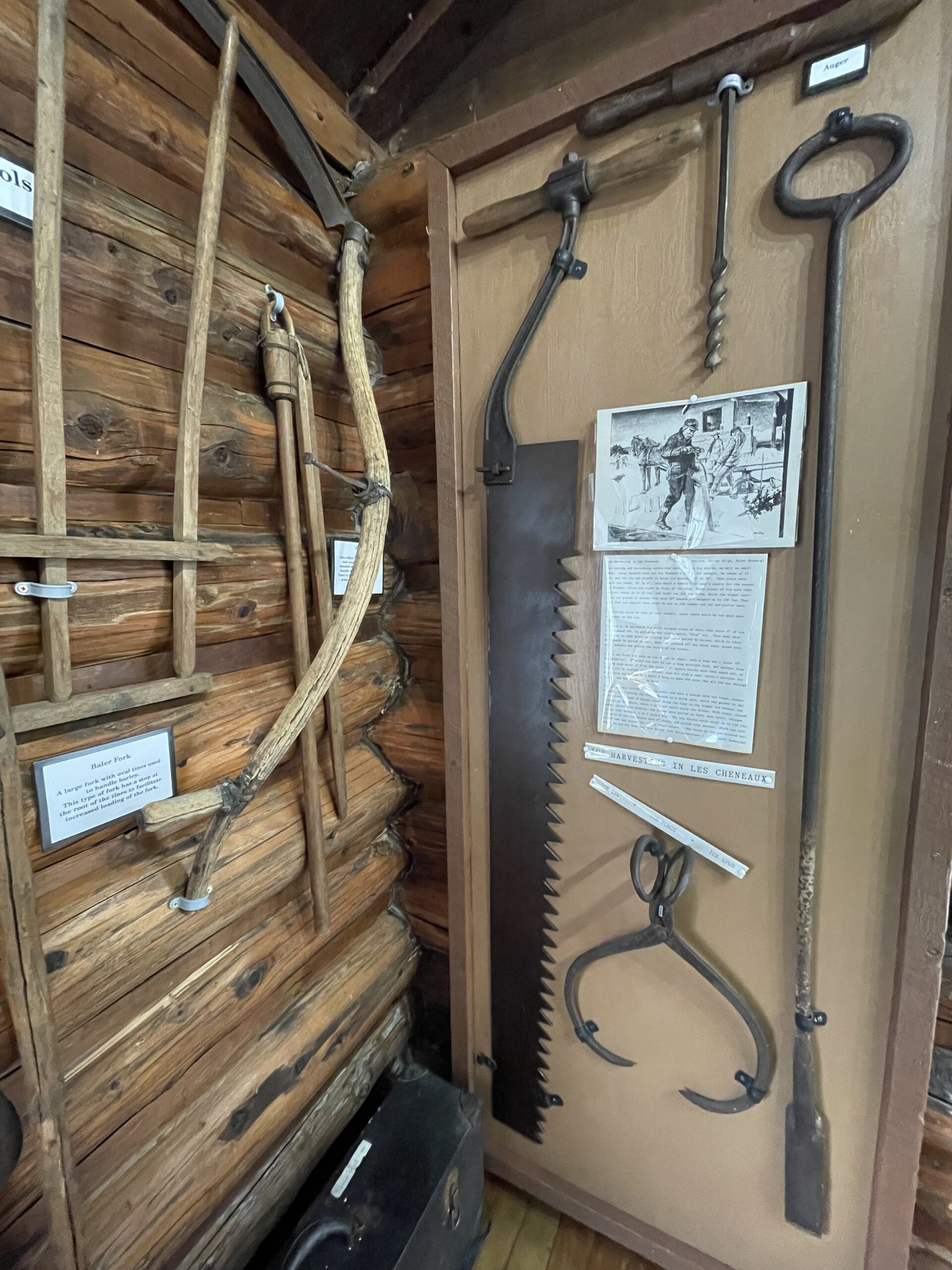 A display of vintage logging tools, including saws, axes, and hooks, mounted on a wooden wall of a historical museum.